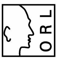 Logo und Link zur Website HNO- Praxis am Löwenplatz